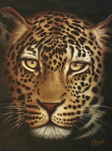 Ngala Leopard