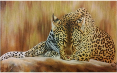 Kaye's Leopard